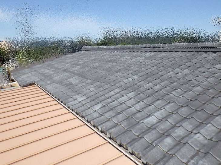 変換 ～ 20210303  Nsamatei-soto-mae8.jpg