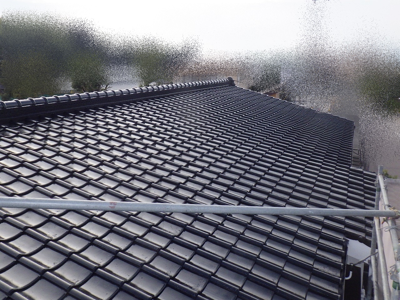 20210303  Nsamatei-naka-kansei1.JPG