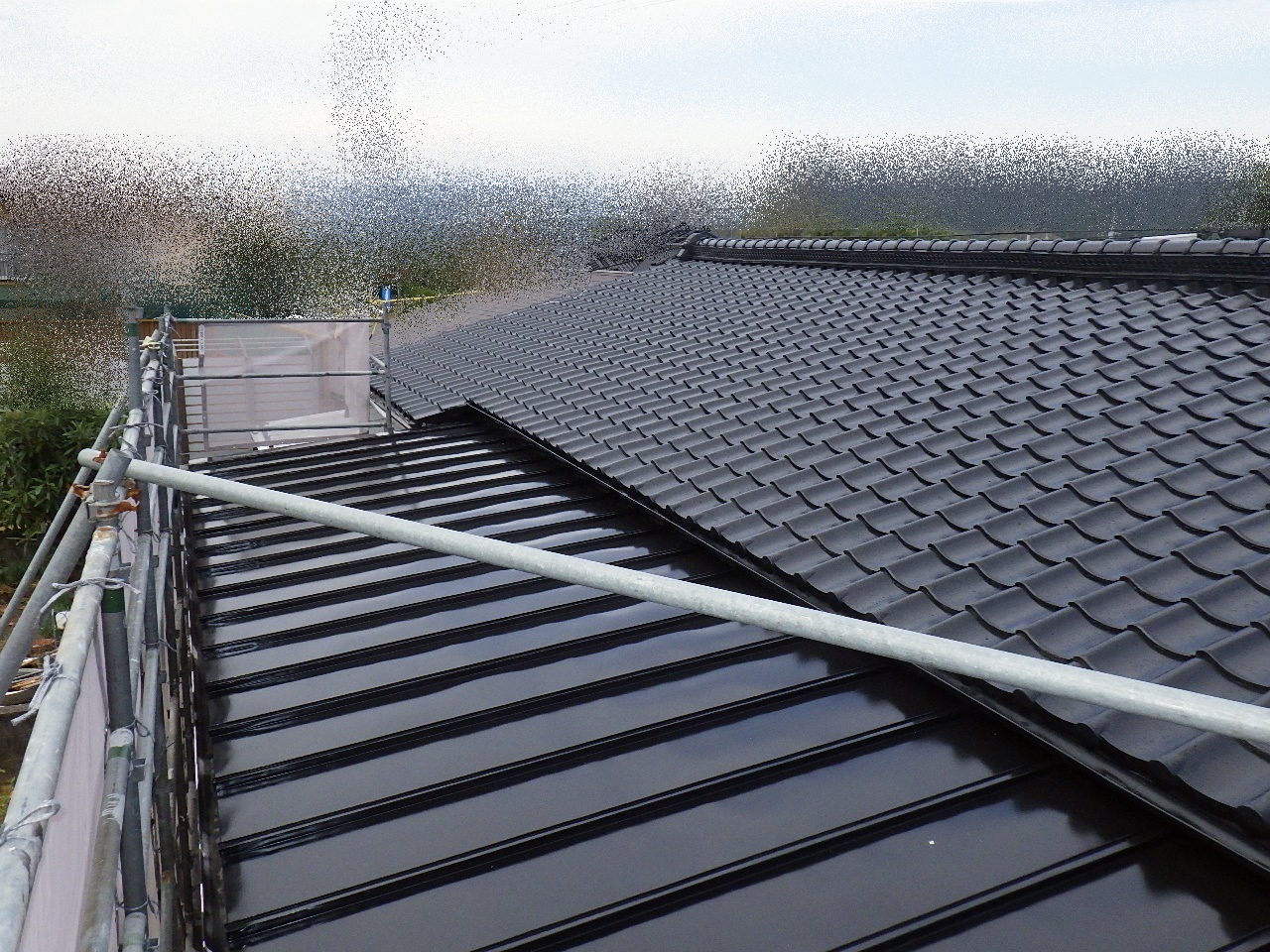 20210303  Nsamatei-naka-kansei7.JPG